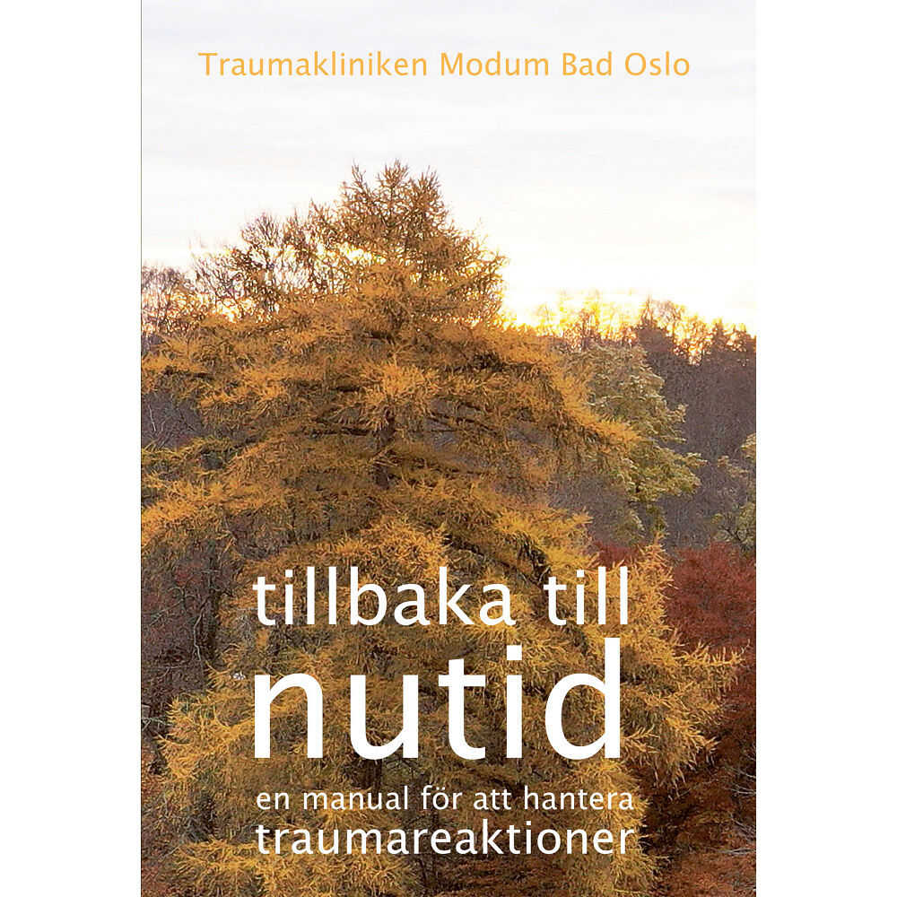 Insidan Förlag Tillbaka till nutid (bok, storpocket)