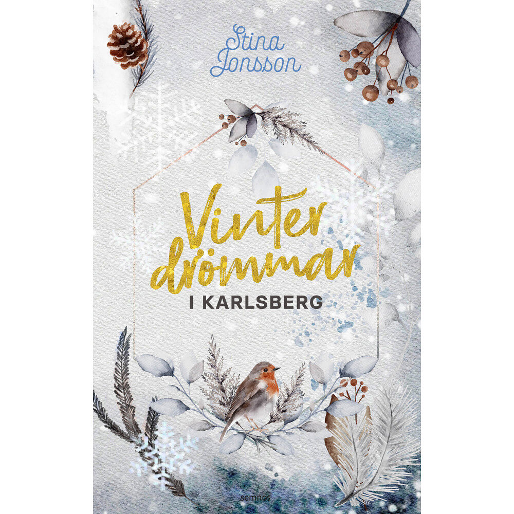 Stina Jonsson Vinterdrömmar i Karlsberg (häftad)