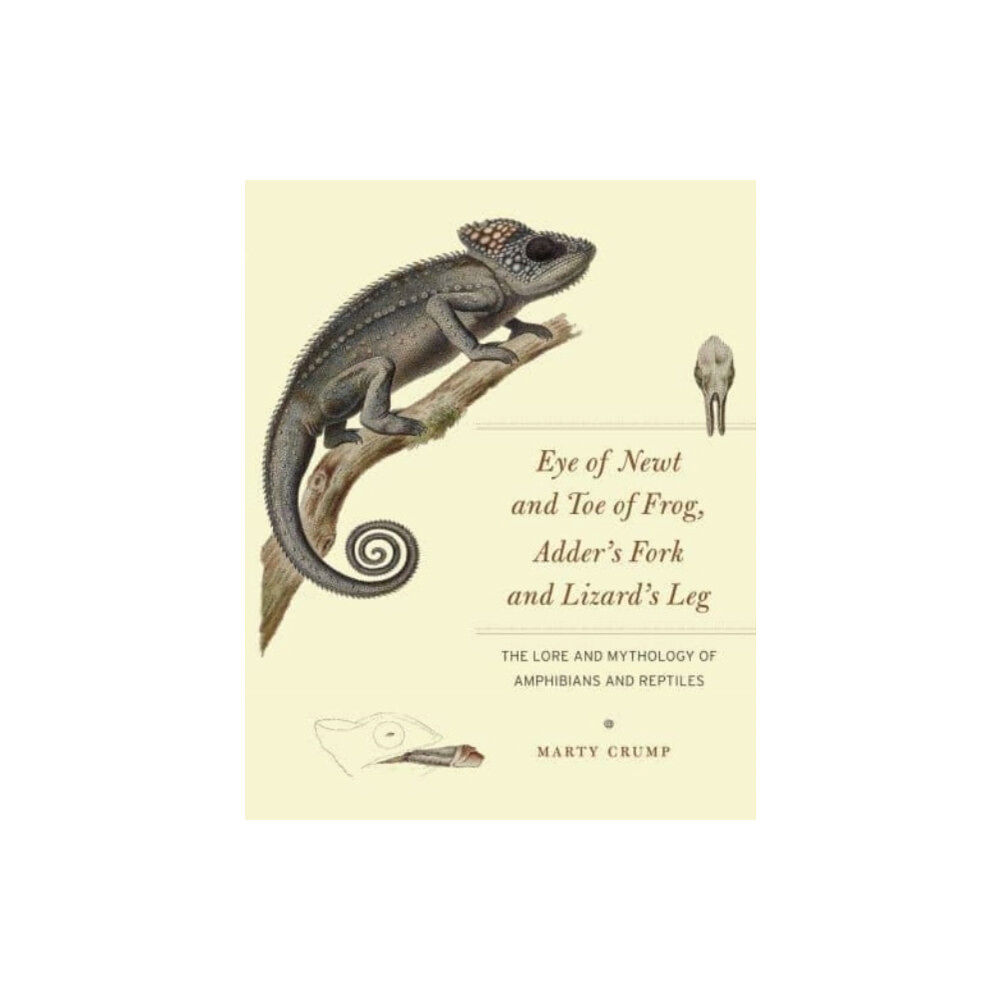 The university of chicago press Eye of Newt and Toe of Frog, Adder's Fork and Lizard's Leg (häftad, eng)