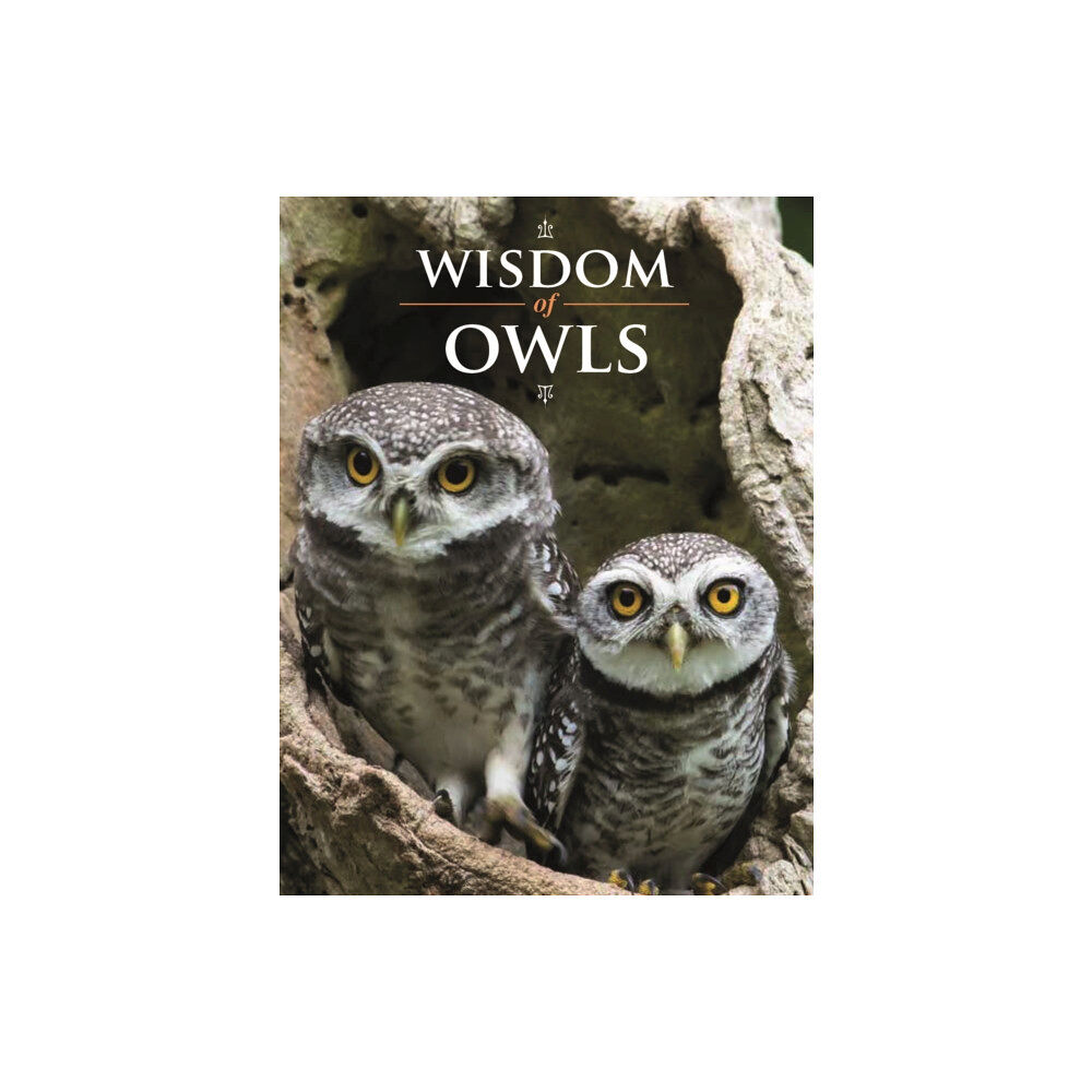 Firefly Books Ltd Wisdom of Owls (inbunden, eng)