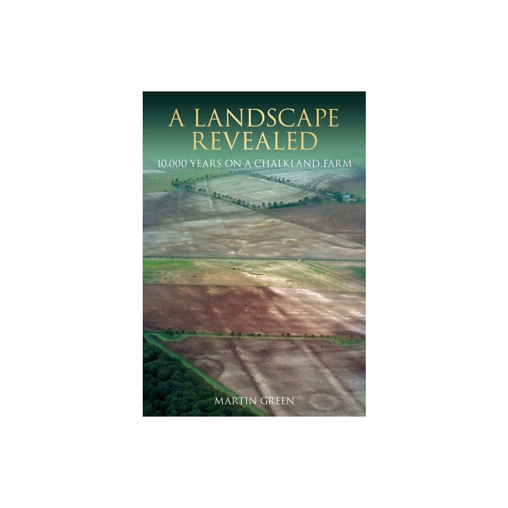 The History Press Ltd A Landscape Revealed (häftad, eng)