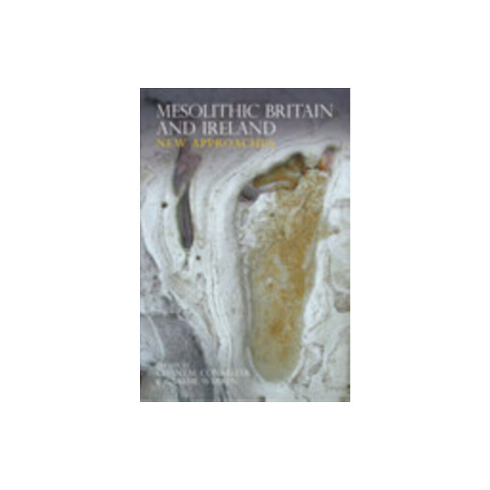 The History Press Ltd Mesolithic Britain and Ireland (häftad, eng)