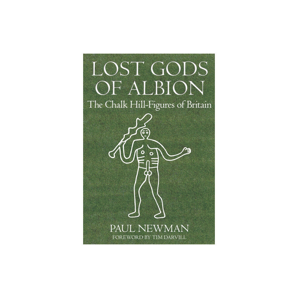 The History Press Ltd Lost Gods of Albion (häftad, eng)