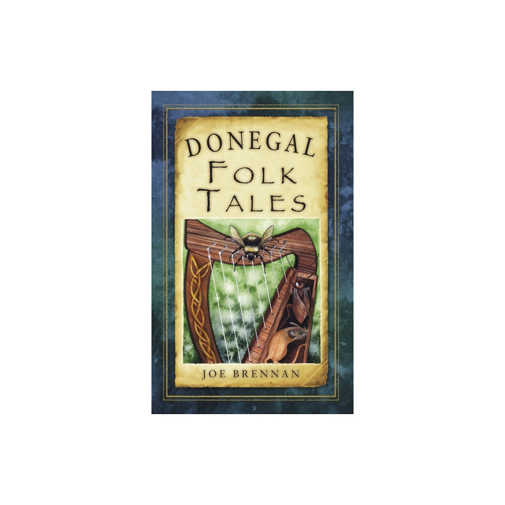 The History Press Ltd Donegal Folk Tales (häftad, eng)