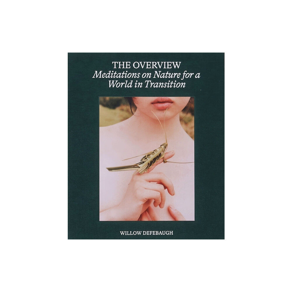 Meadow Vista Publishing The Overview (inbunden, eng)