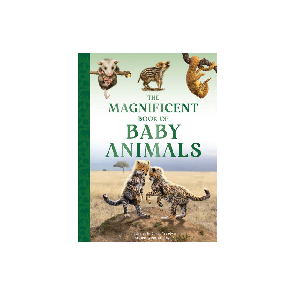 Weldon Owen Children's Books The Magnificent Book of Baby Animals (inbunden, eng)