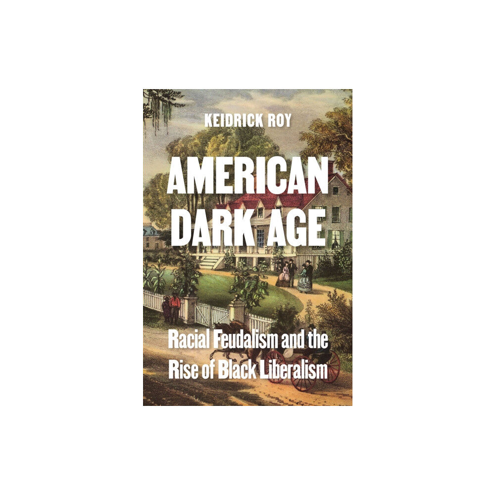 Princeton University Press American Dark Age (inbunden, eng)