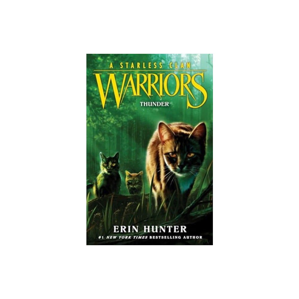 Harpercollins publishers inc Warriors: A Starless Clan #4: Thunder (häftad, eng)