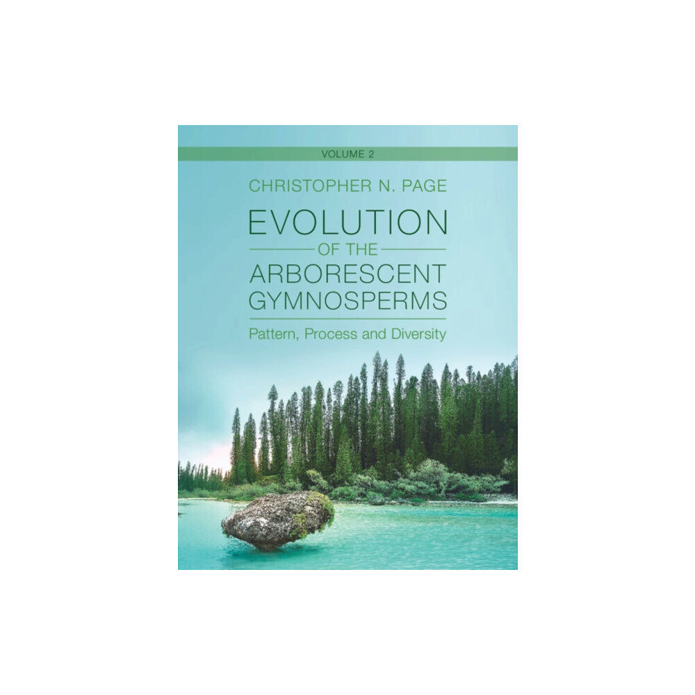 Cambridge University Press Evolution of the Arborescent Gymnosperms: Volume 2, Southern Hemisphere Focus (inbunden, eng)