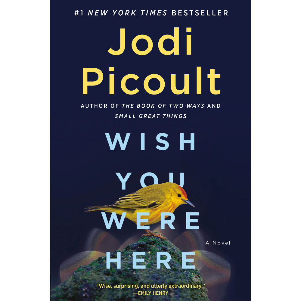 Jodi Picoult Wish You Were Here: A Novel (häftad, eng)
