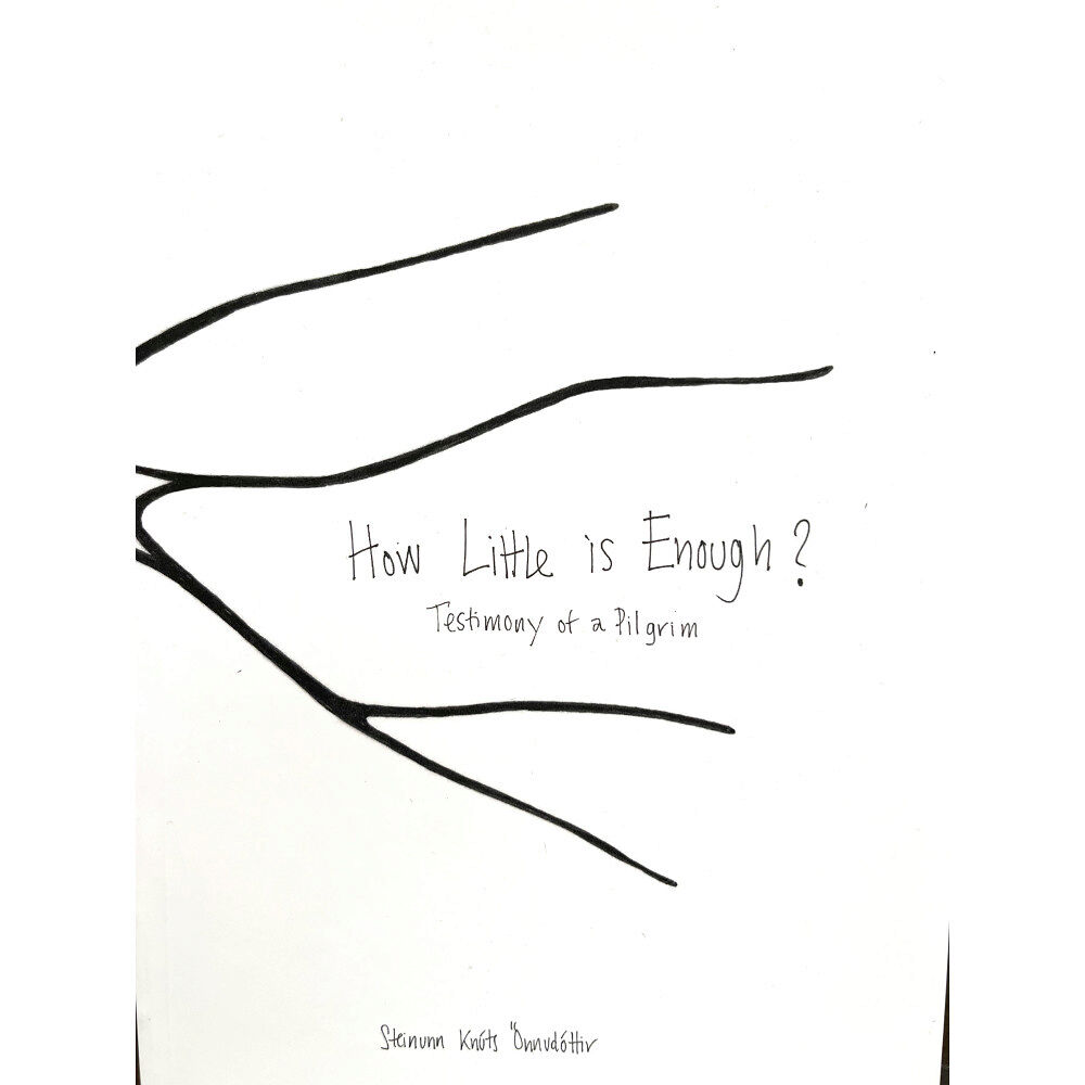 Steinunn Knúts-Önnudóttir How little is enough? Testimony of a Pilgrim (bok, danskt band, eng)