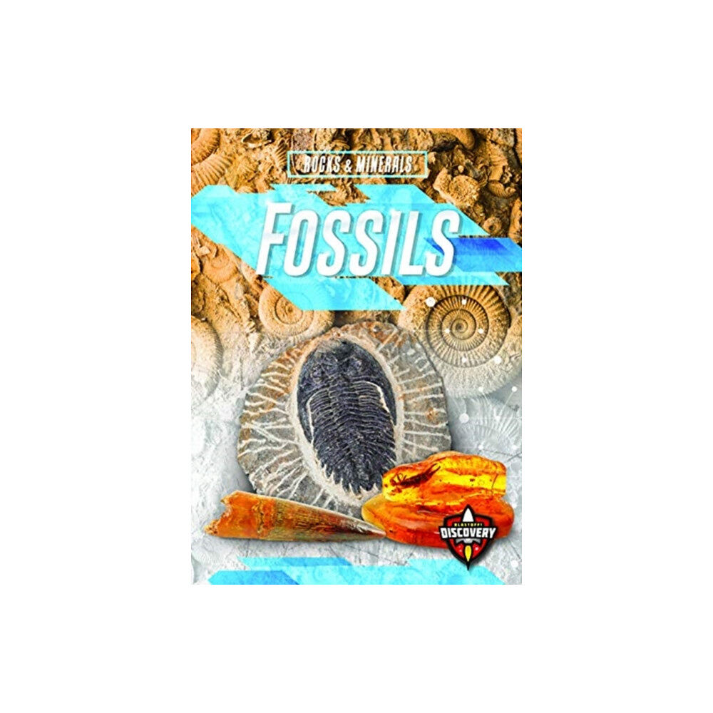 Bellwether Media Fossils (inbunden, eng)