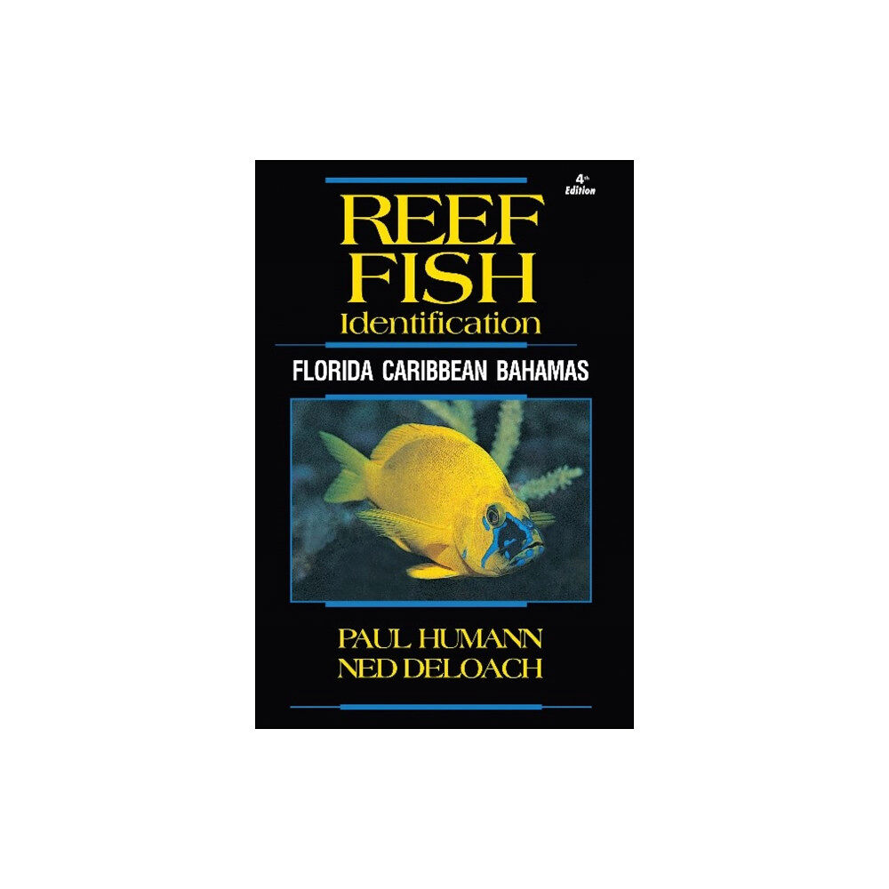 New World Publications Inc.,U.S. Reef Fish Identification (häftad, eng)