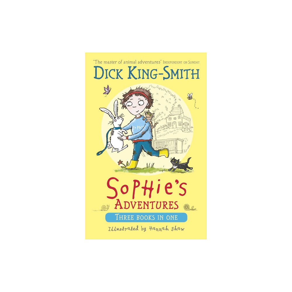 Walker Books Ltd Sophie's Adventures (häftad, eng)