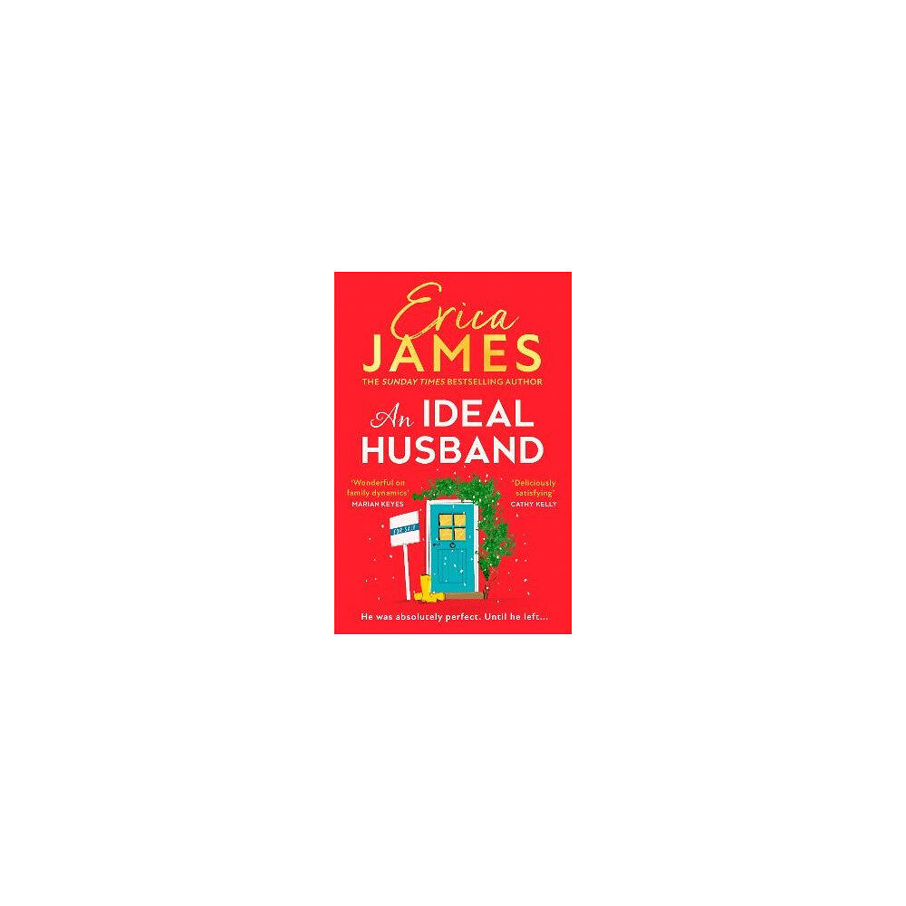 Erica James An Ideal Husband (häftad, eng)