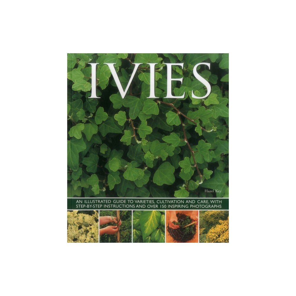 Anness publishing Ivies (häftad, eng)