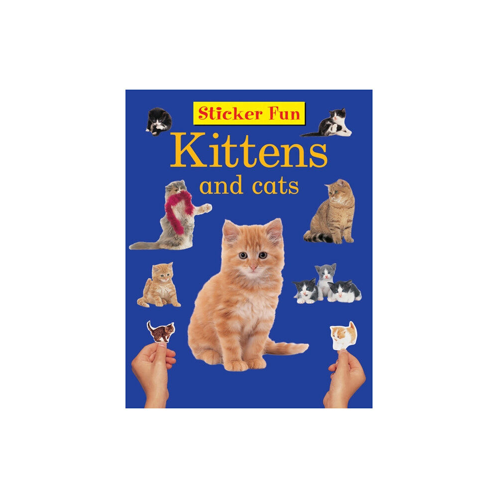 Anness publishing Sticker Fun - Kittens & Cats (häftad, eng)