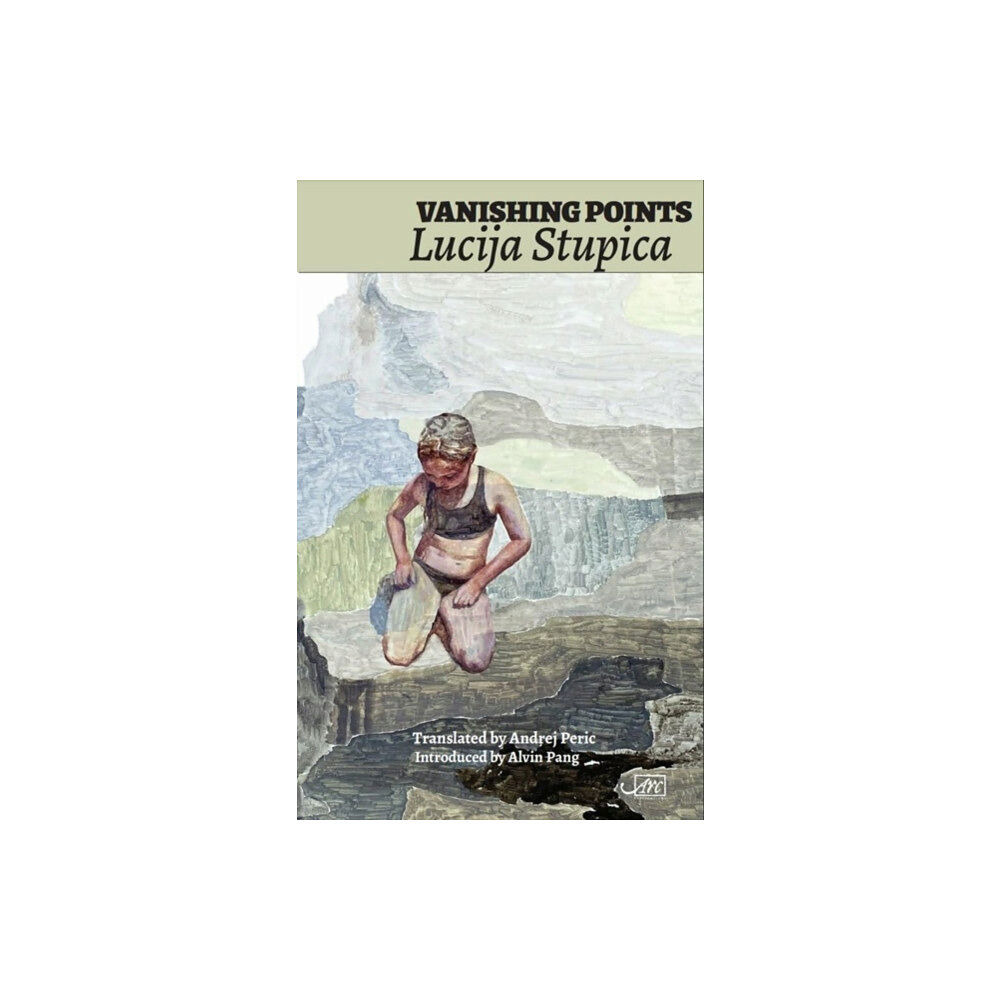 Arc Publications Vanishing Points (häftad, eng)