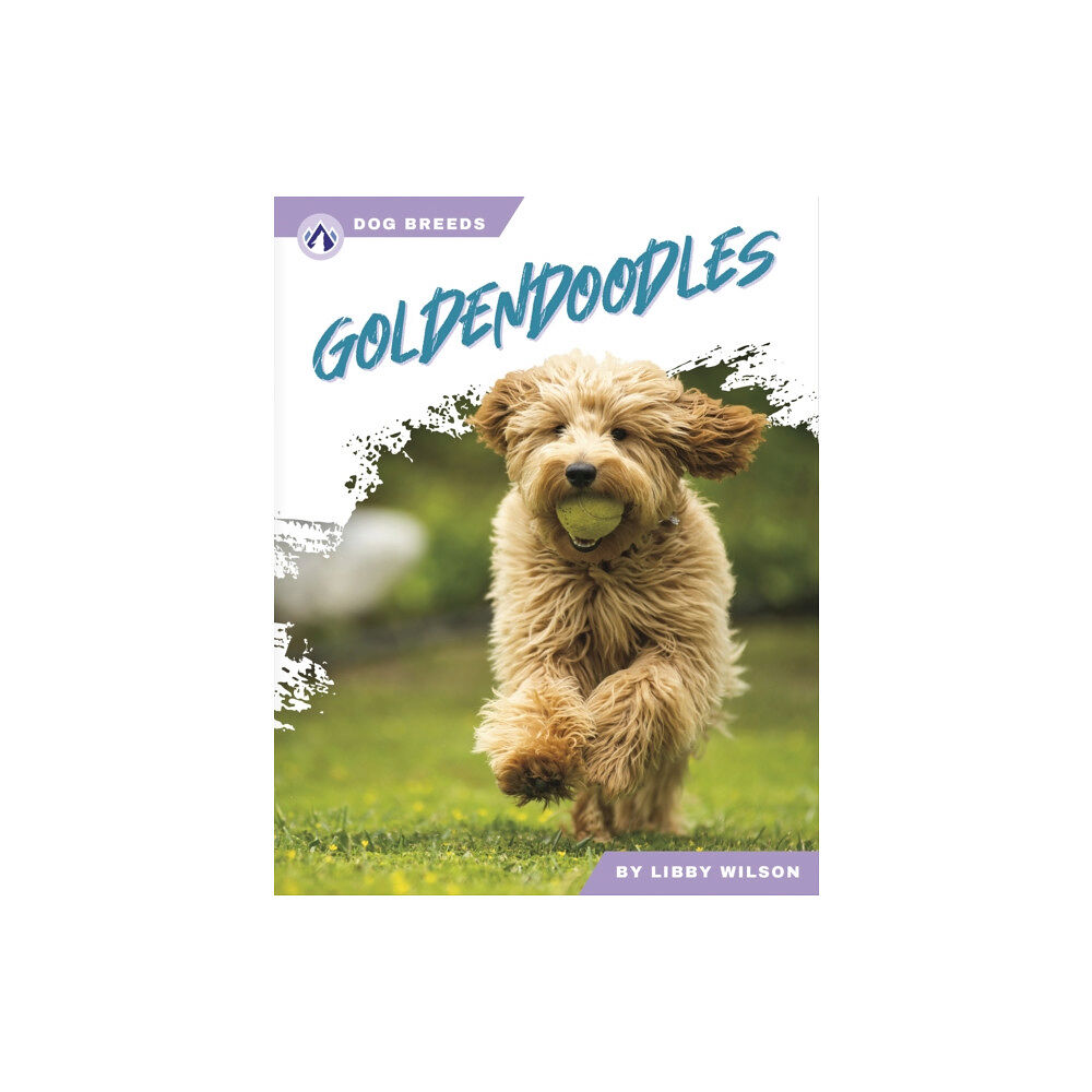 North Star Editions Goldendoodles (inbunden, eng)