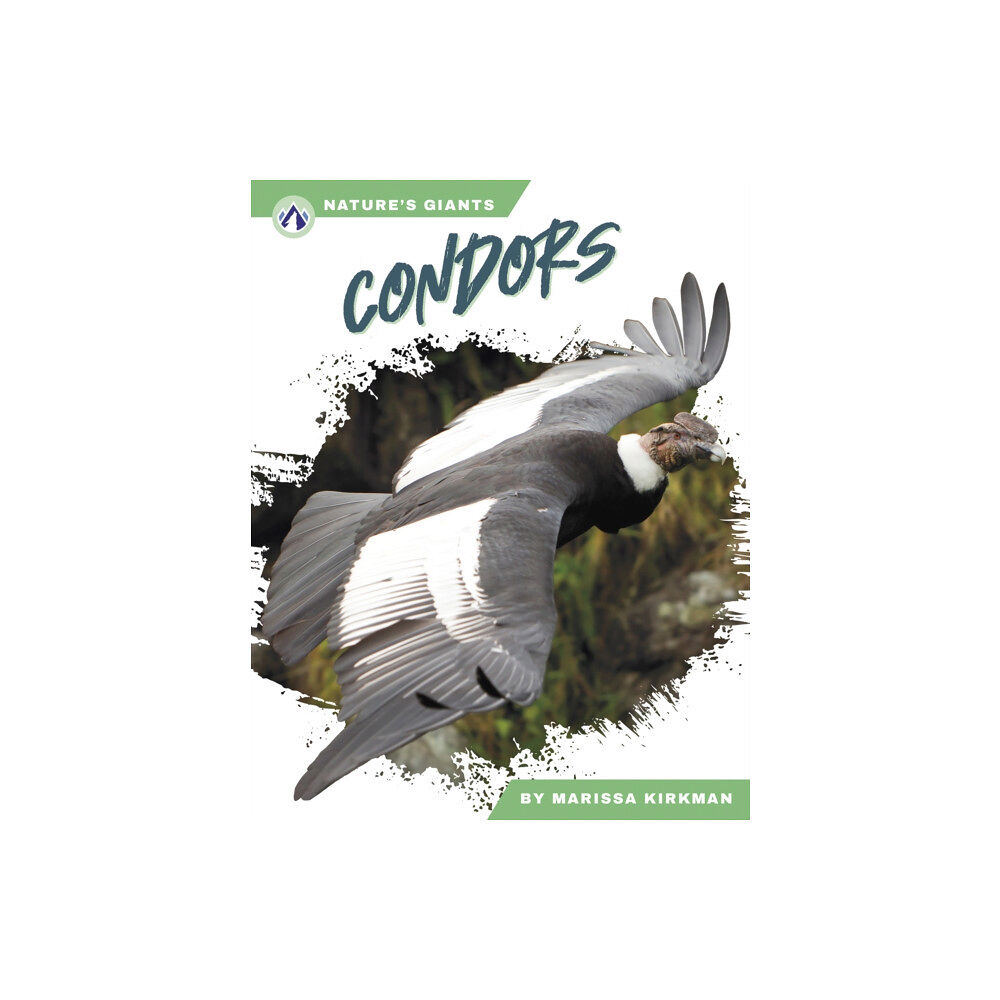 North Star Editions Condors (inbunden, eng)
