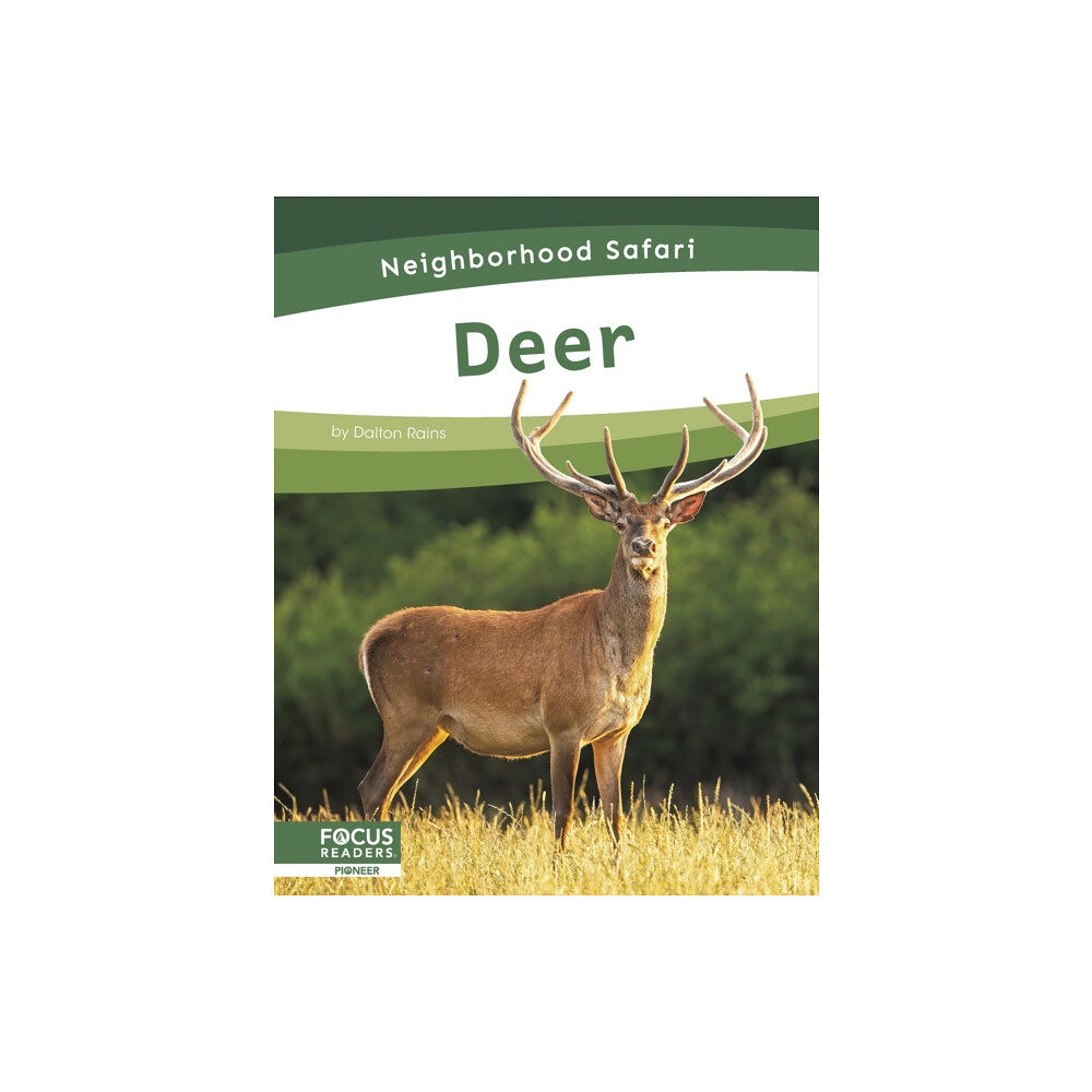 North Star Editions Deer (inbunden, eng)