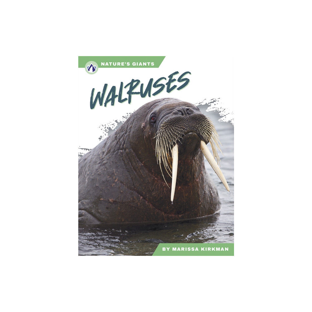 North Star Editions Walruses (inbunden, eng)