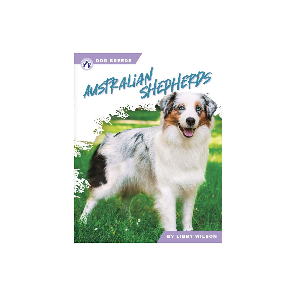 North Star Editions Australian Shepherds (häftad, eng)