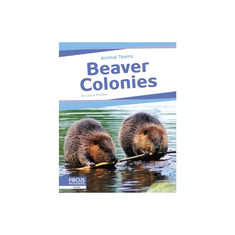 North Star Editions Beaver Colonies (inbunden, eng)
