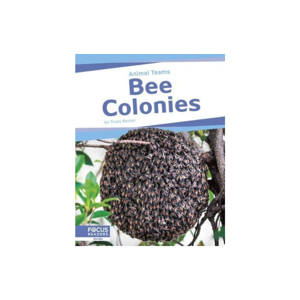 North Star Editions Bee Colonies (inbunden, eng)