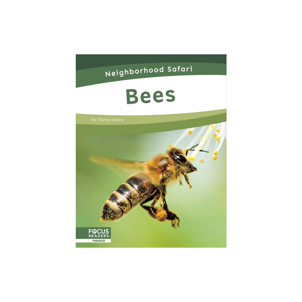 North Star Editions Bees (häftad, eng)