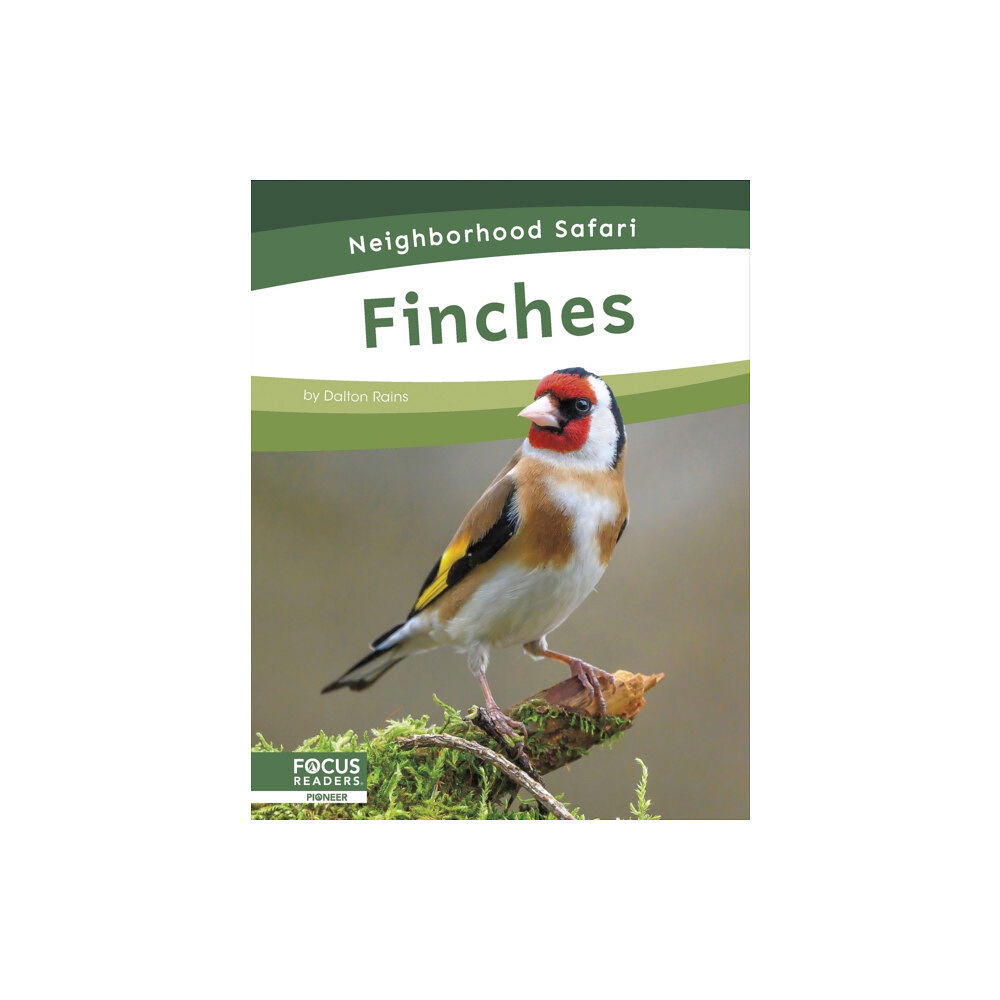 North Star Editions Finches (häftad, eng)