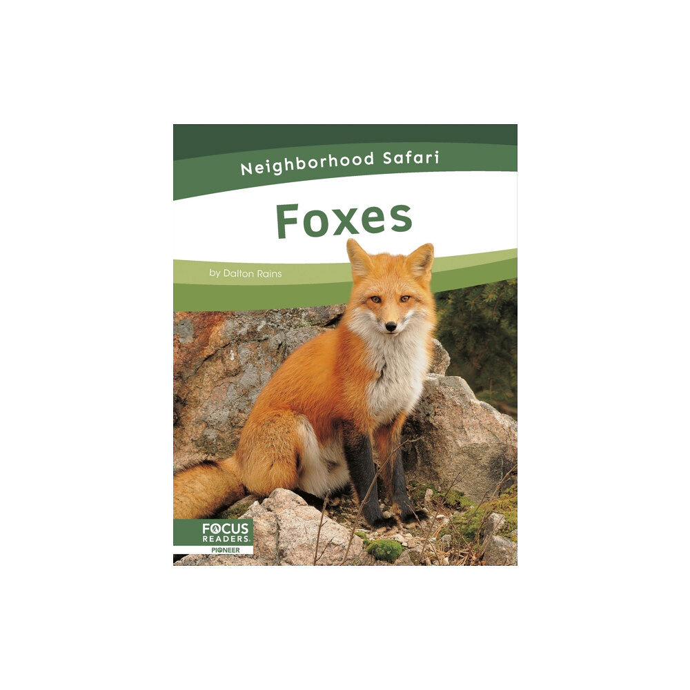 North Star Editions Foxes (häftad, eng)