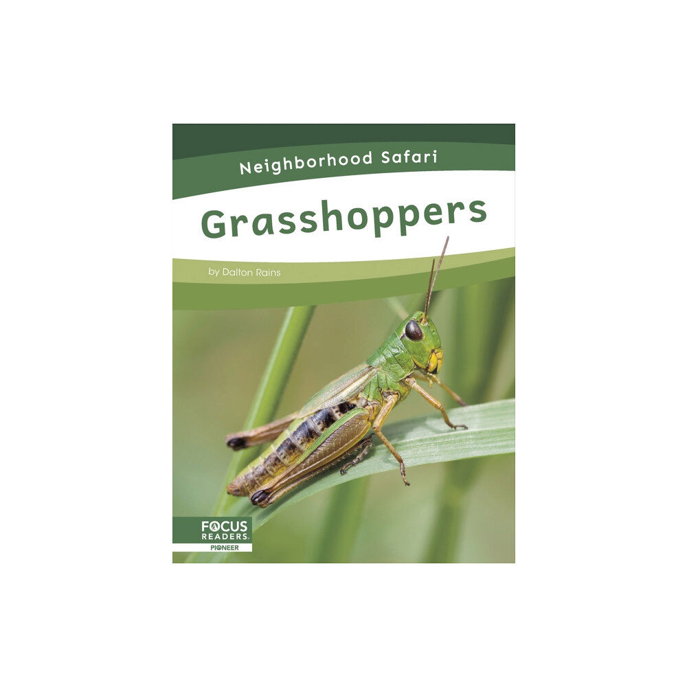 North Star Editions Grasshoppers (häftad, eng)