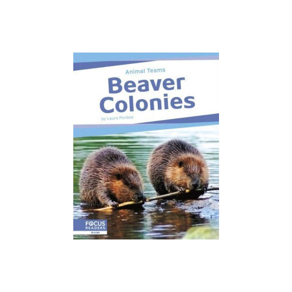 North Star Editions Beaver Colonies (häftad, eng)