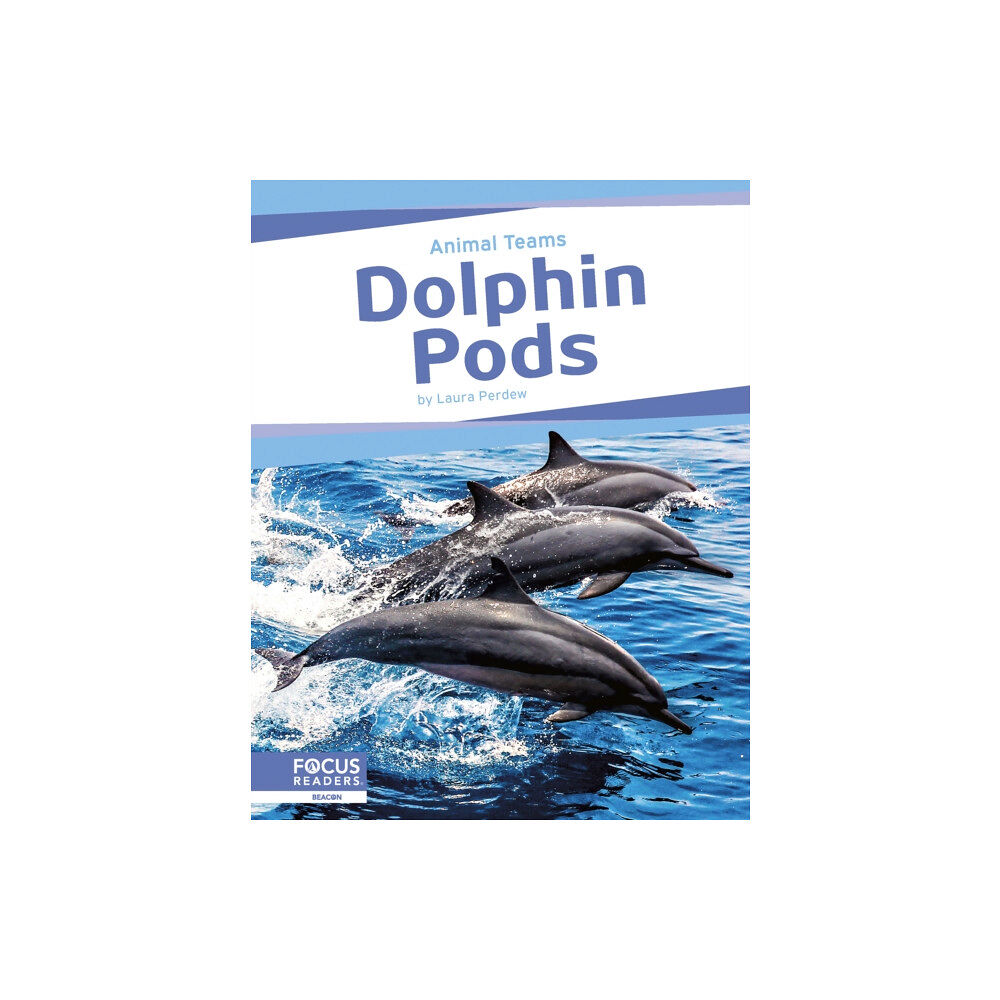 North Star Editions Dolphin Pods (häftad, eng)
