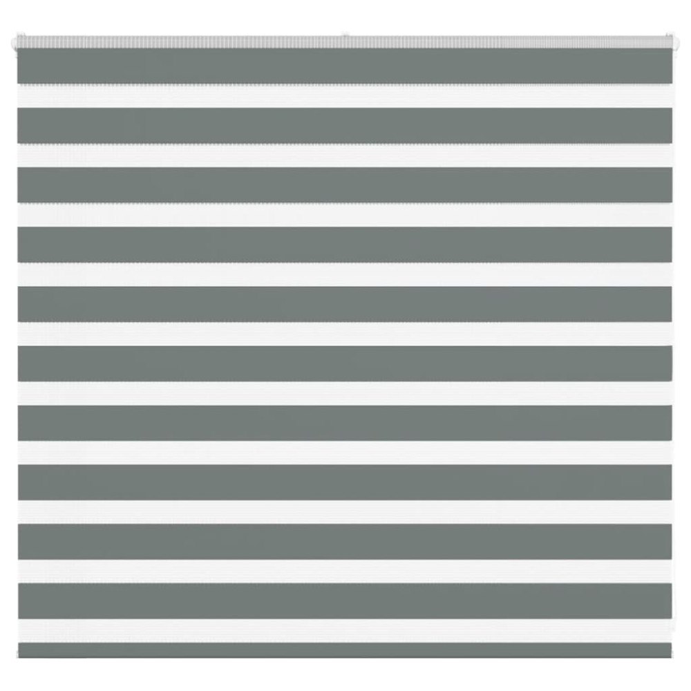 vidaXL Rullgardin zebra mörkgrå 165x100 cm tyg bredd 160,9cm polyester
