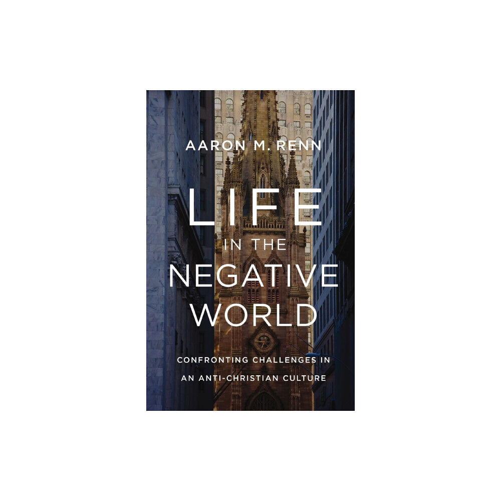 Zondervan Life in the Negative World (inbunden, eng)