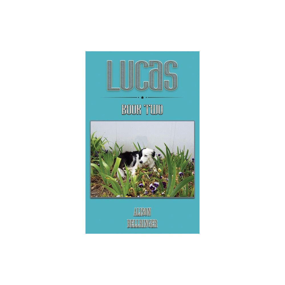 Austin Macauley Publishers Lucas (häftad, eng)