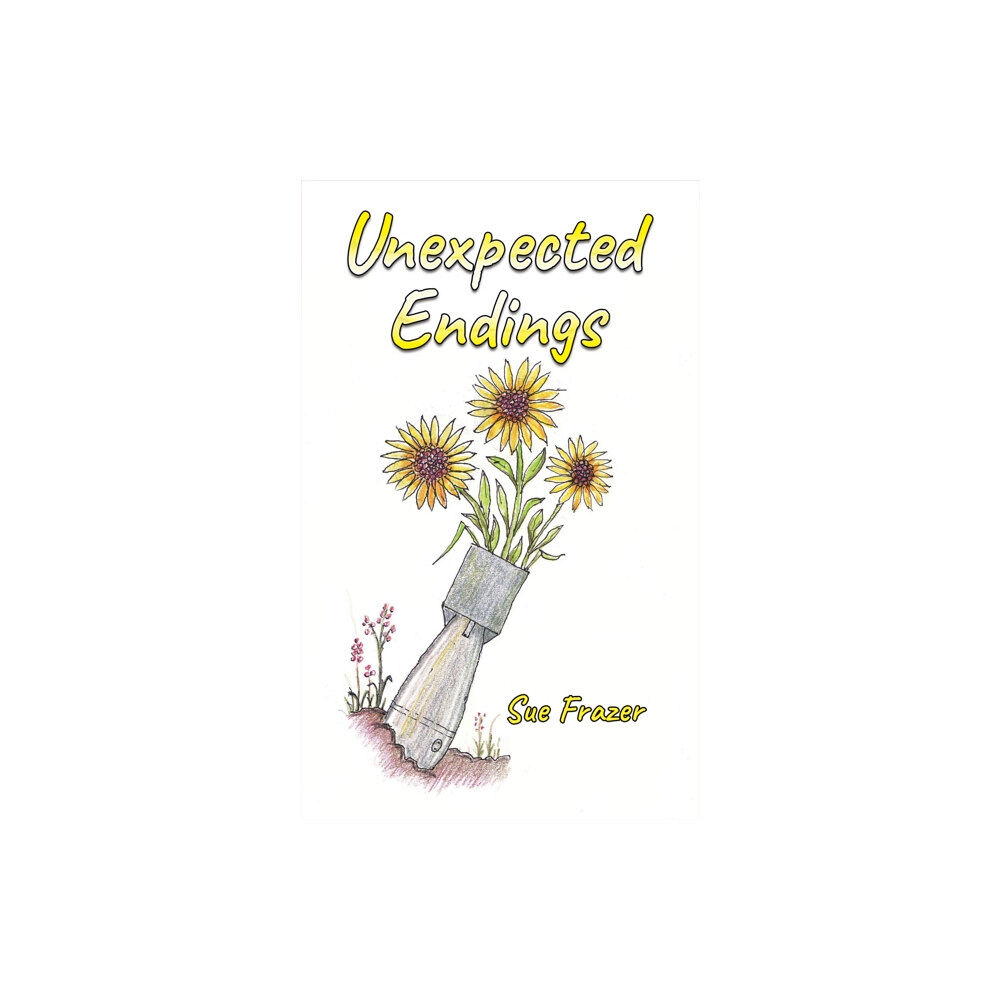 Austin Macauley Publishers Unexpected Endings (häftad, eng)