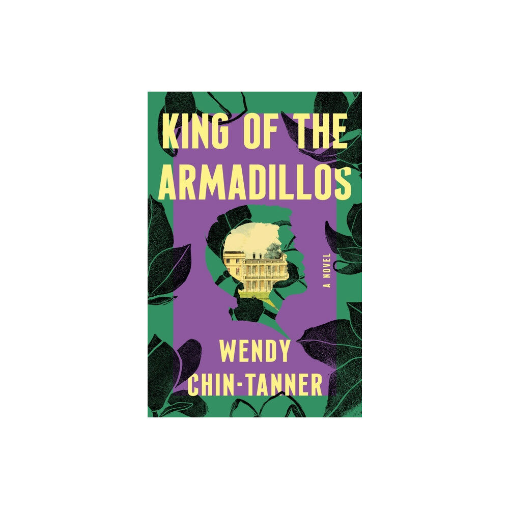 Flatiron Books King of the Armadillos (häftad, eng)