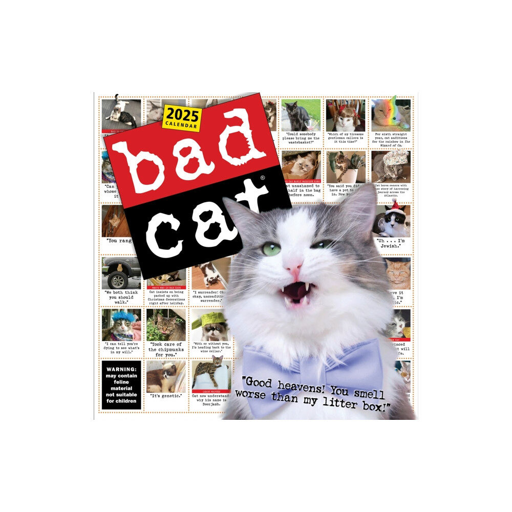 Workman Publishing Bad Cat Wall Calendar 2025