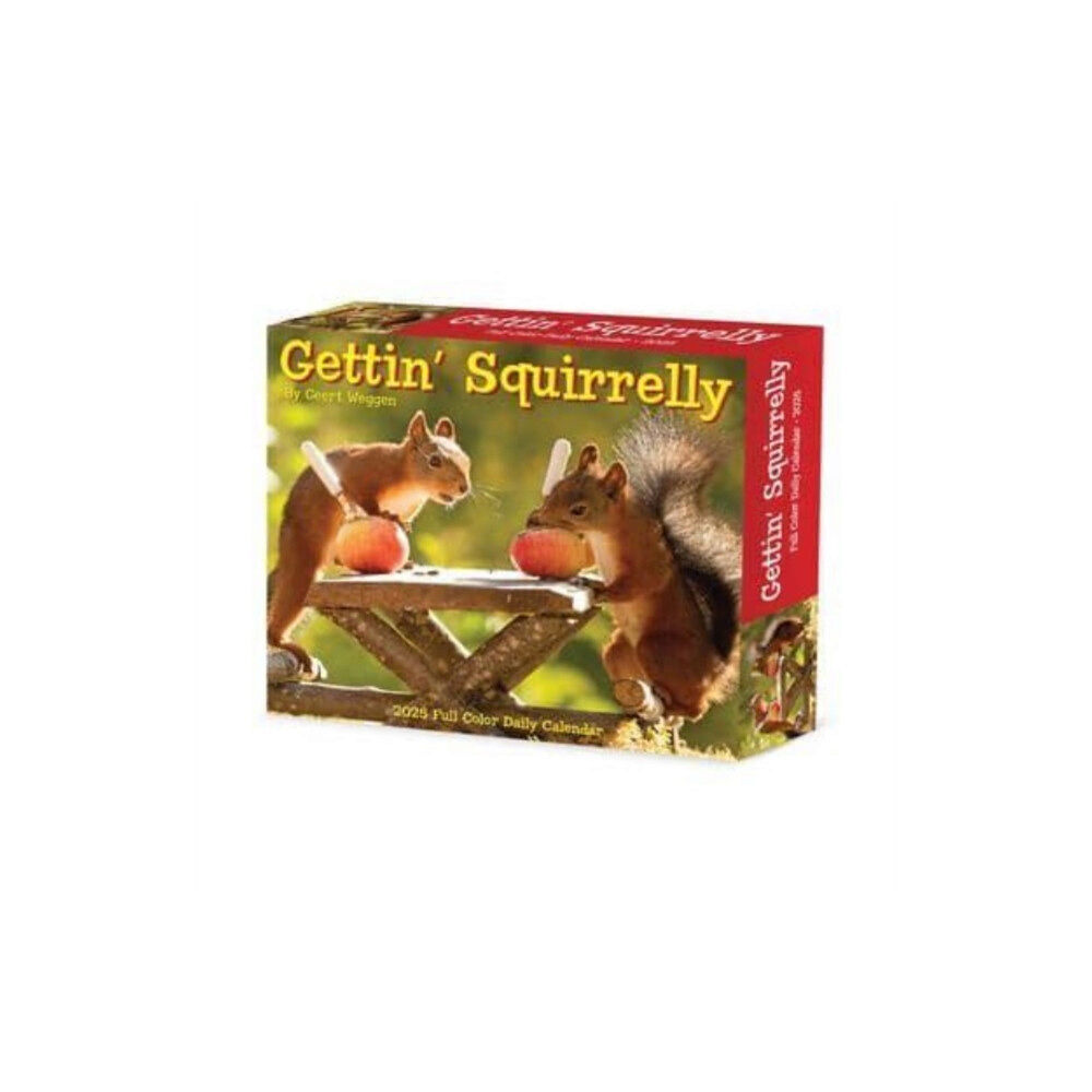 Willow Creek Press Calendars Gettin' Squirrelly 2025 6.2 X 5.4 Box Calendar