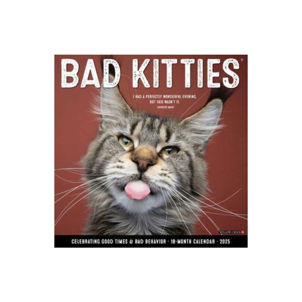 Willow Creek Press Calendars Bad Kitties 2025 12 X 12 Wall Calendar