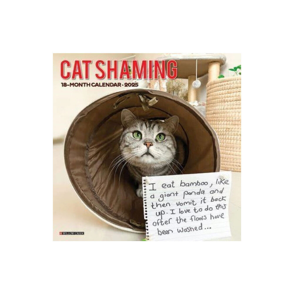 Willow Creek Press Calendars Cat Shaming 2025 12 X 12 Wall Calendar