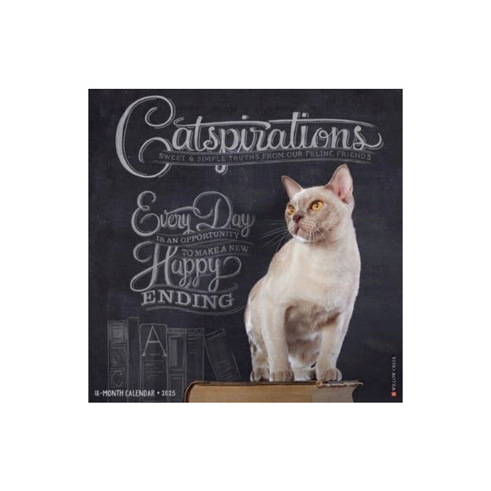 Willow Creek Press Calendars Catspirations 2025 12 X 12 Wall Calendar