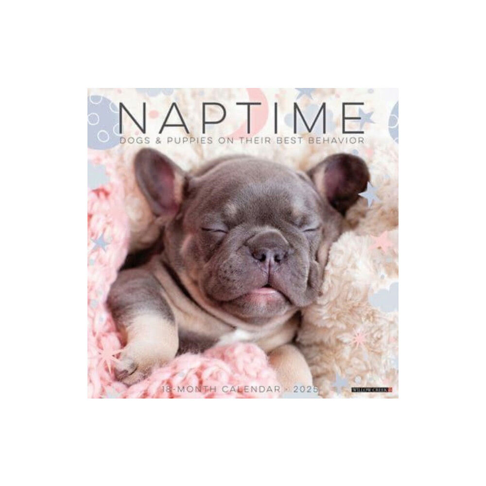 Willow Creek Press Calendars Naptime (Dogs & Puppies) 2025 12 X 12 Wall Calendar