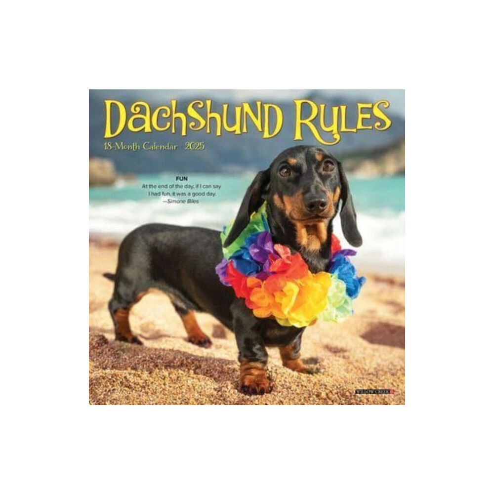 Willow Creek Press Calendars Dachshund Rules 2025 7 X 7 Mini Wall Calendar