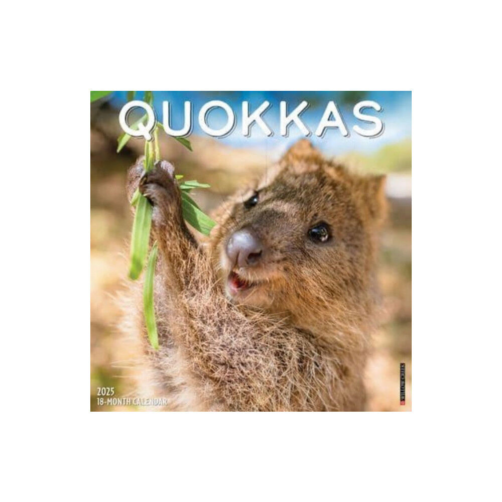 Willow Creek Press Calendars Quokkas 2025 12 X 12 Wall Calendar