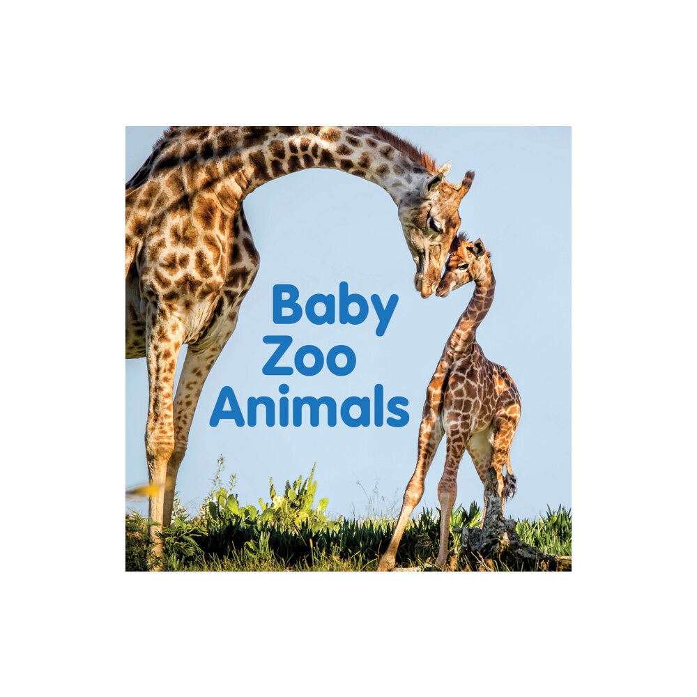 New Holland Publishers Baby Zoo Animals (bok, board book, eng)