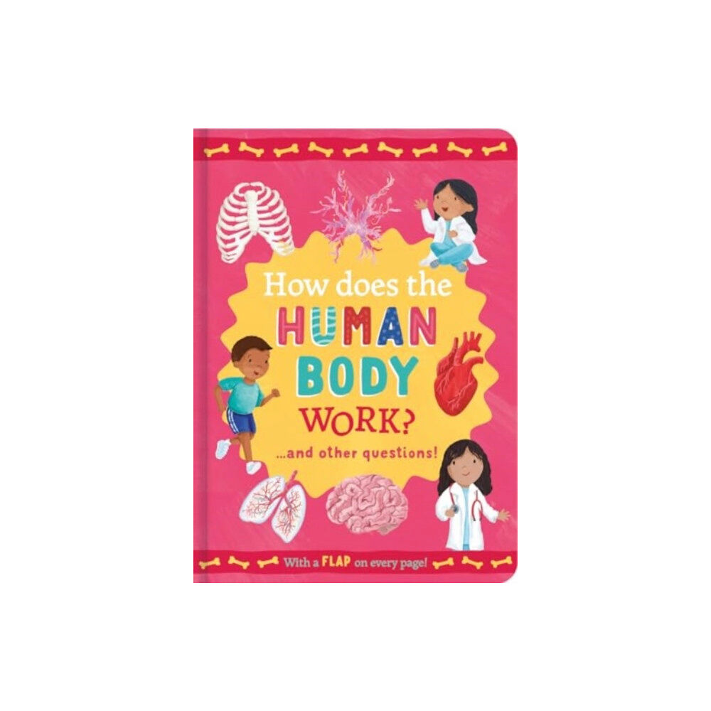 North Parade Publishing How Does the Human Body Work? (inbunden, eng)